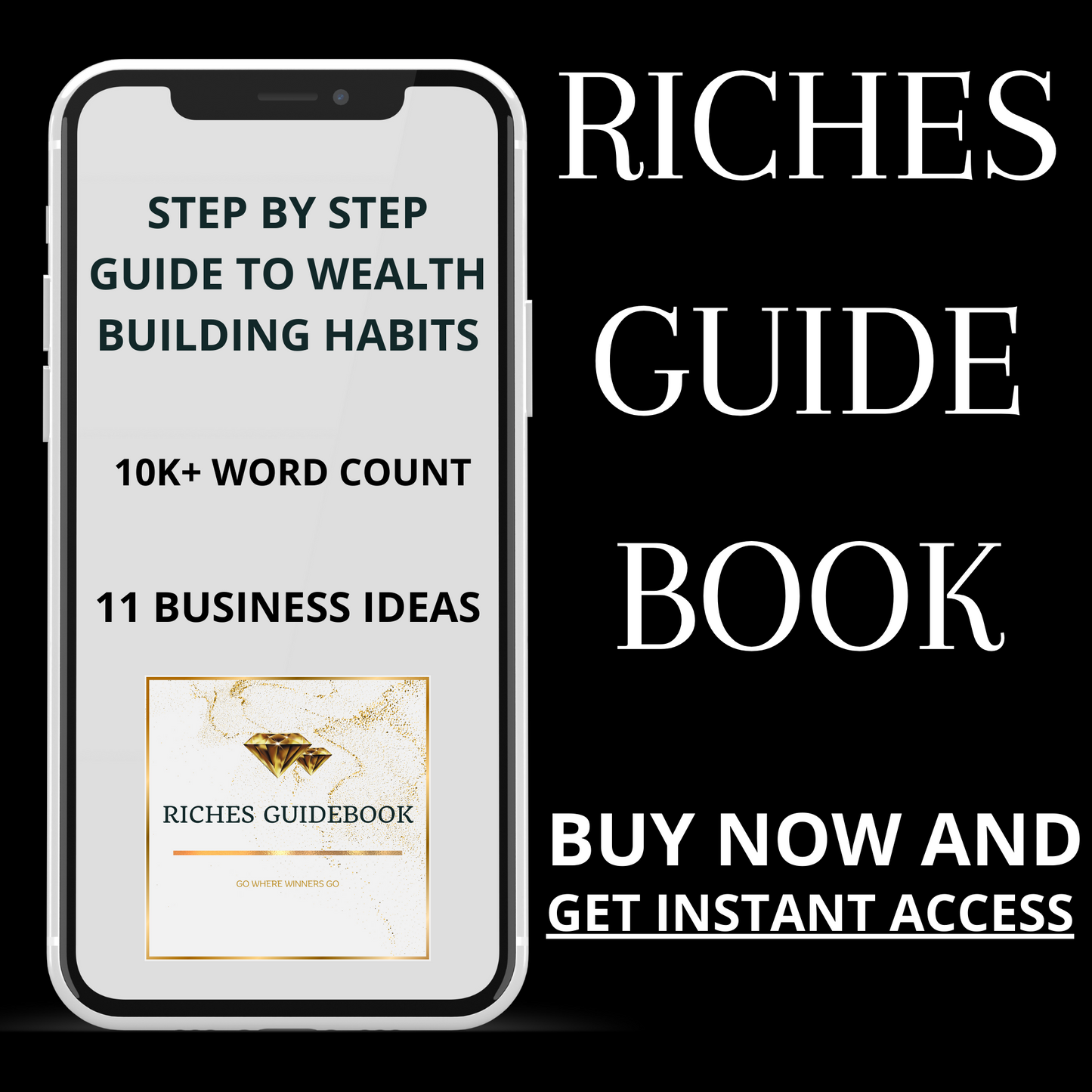 Riches Guidebook